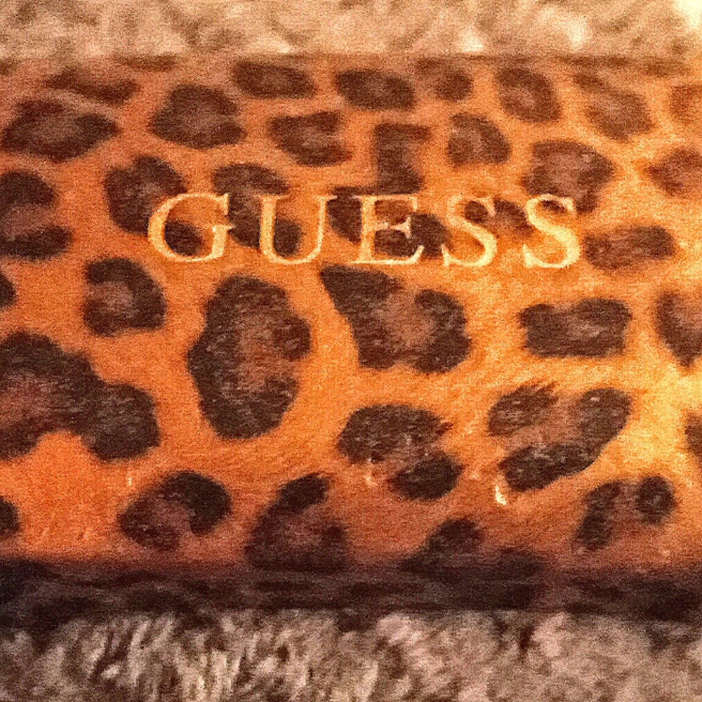 meyers glasses case